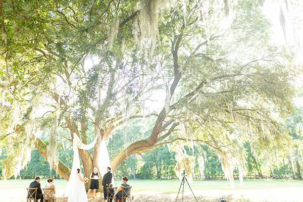 Small micro wedding or elopement under the Promise Tree at Hewitt Oaks