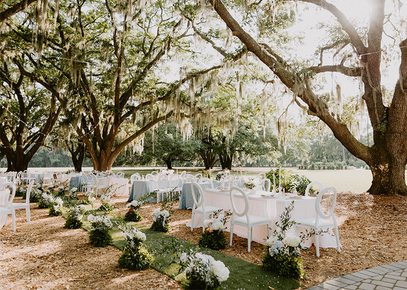 tables set for a fancy event under the Angel Oaks on a sunny day at Hewitt Oaks